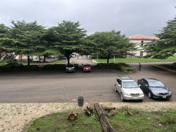 An outdoor photograph of a parking lot with several parked cars (including a silver SUV and black sedan) on a gravel surface, bordered by trees and a building in the background under a cloudy sky, with logs and grass in the foreground.