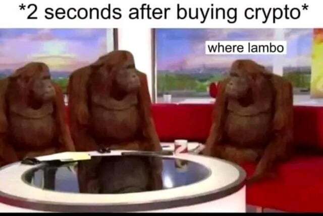 A meme featuring three monkeys sitting around a table with the caption '*2 seconds after buying crypto*' and one monkey saying 'where lambo'.