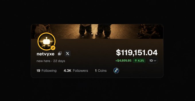 Dashboard card showing user 'netvyxe' (new here - 22 days) with a portfolio value of $119,151.04, up $4,899.85 (4.3%), and 4.3K followers.