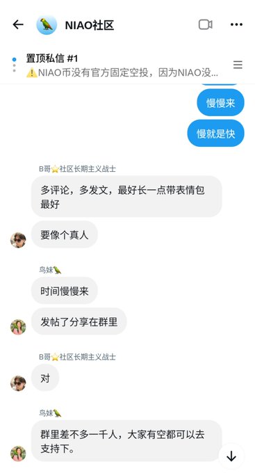 A screenshot of a Chinese chat interface titled 'NIAO社区' (NIAO Community) showing a pinned message about NIAO币 (NIAO coin) not having official liquidity, followed by several user messages.