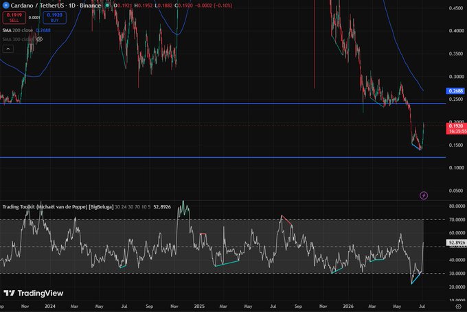 A TradingView candlestick chart for Cardano/TetherUS (ADAUSDT) on Binance showing a sharp price decline, with the price at 0.1919 (-0.10%) and a Trading Toolkit RSI indicator at 52.8926.