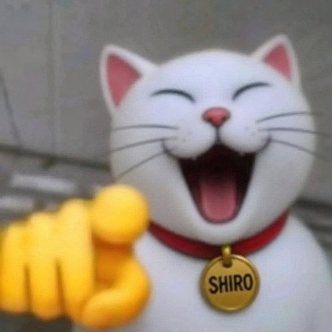 A cheerful cartoon white cat named Shiro, wearing a red collar with a gold "SHIRO" tag, gives a thumbs-up with a big open-mouthed smile. The image embodies the post's message of encouragement and community building, visually representing Shiro as the friendly mascot rallying crypto holders to join the Cat Market movement.