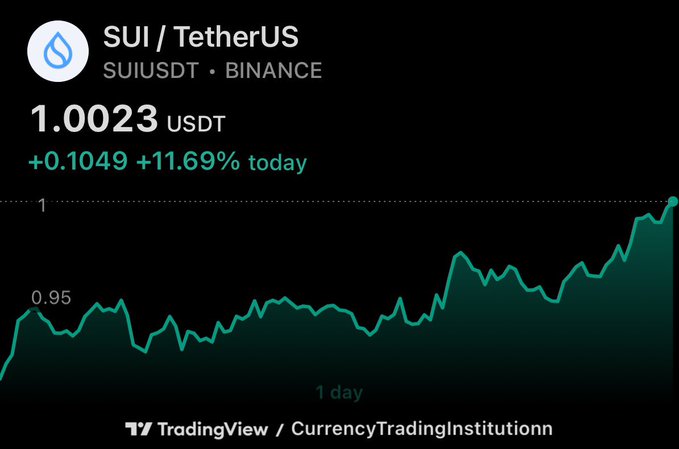 Trading chart for SUI/TetherUS (SUIUSDT) on Binance showing a price of 1.0023 USDT, up 11.69% today, with a green line graph sourced from TradingView.