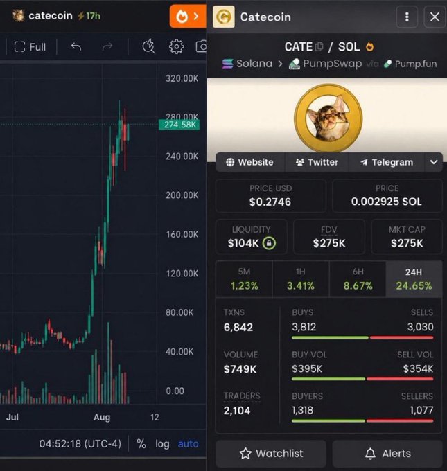 A screenshot showing cryptocurrency data for CATE on the Solana network via PumpSwap, displaying a price chart with a 274.58K peak and details like a price of $0.2746, liquidity of $104K, and a 24H change of 24.65%.