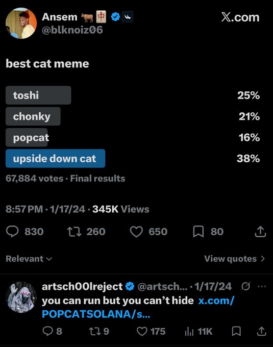 A screenshot of a Twitter/X poll by Ansem (@blknoiz06) asking "best cat meme," where "upside down cat" wins with 38% over toshi (25%), chonky (21%), and popcat (16%). The post references the poll to suggest that meme popularity is fleeting, implying that "$kitty" (upside down cat) could surpass the current top contenders like popcat.