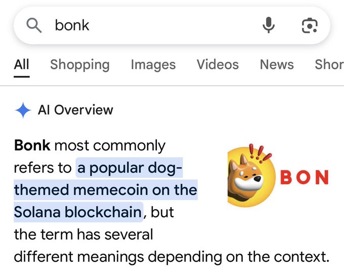 A Google search result for 'bonk' showing an AI Overview describing Bonk as 'a popular dog-themed memecoin on the Solana blockchain' alongside the BONK logo.