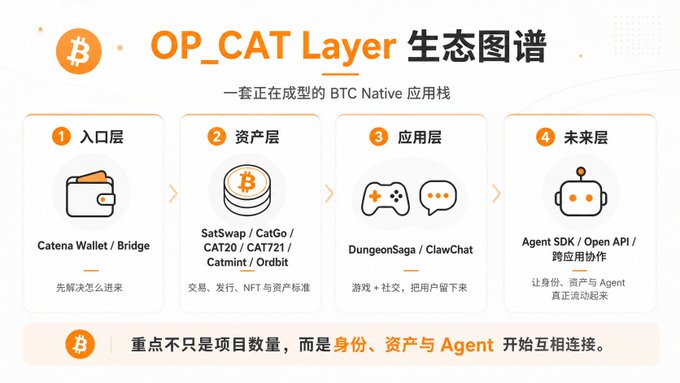An infographic titled 'OP_CAT Layer 生态图谱' (OP_CAT Layer Ecosystem Map) depicting a BTC Native application stack with four layers in Chinese.