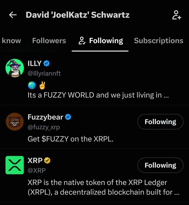 Screenshot of David “JoelKatz” Schwartz’s X “Following” tab, showing verified crypto accounts including ILLY (@Illyrianft), Fuzzybear (@fuzzy_xrp) with “Get $FUZZY on the XRPL,” and XRP (@XRP), both marked “Following.” It illustrates the post’s claim that Schwartz follows @fuzzy_xrp.