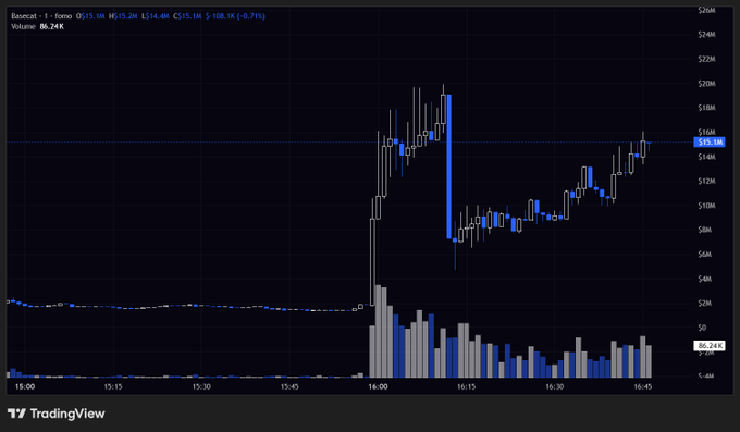 A TradingView candlestick chart of the memecoin "Basecat" (Basecat/SOL on Raydium) shows a dramatic spike to around $20M around 16:00 followed by a sharp pullback, with the current price at $15.2M (down 0.71%) on a 1-minute timeframe—visualizing the volatile 2x pump the trader caught before the dump.