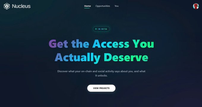 Website screenshot of 'Nucleus' platform with tagline 'Get the Access You Actually Deserve' and a 'View Projects' button.