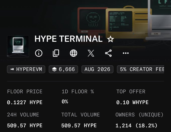 The image displays a digital marketplace listing for "HYPE TERMINAL," an NFT collection on HyperEVM featuring 6,666 items with a 5% creator fee, showing a floor price of 0.1227 HYPE, 24H volume of 509.57 HYPE, and 1,214 unique owners (18.2%). The ".hl" tag likely references the Hyperliquid ticker, tying the listing to its native blockchain ecosystem.
