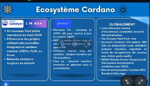 A French-language infographic titled 'Ecosystème Cardano' featuring logos for Project Catalyst, Phores, and Globalement, with bullet points about ADA funding, elections, and Cardano news.