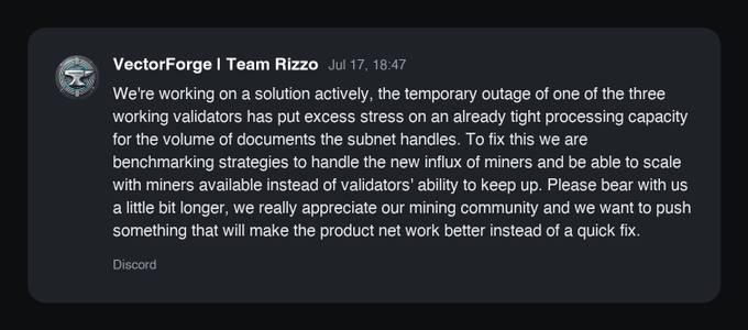 A Discord message from 'VectorForge | Team Rizzo' dated Jul 17 at 18:47 explaining they are working on a solution for a temporary outage of one of three working validators causing capacity strain, and asking users to bear with them.