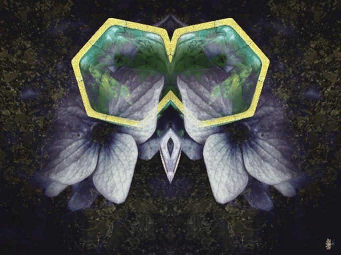 A symmetrical, mirrored digital artwork featuring purple flowers reflected to form a butterfly-like shape with a yellow hexagonal outline at the top.