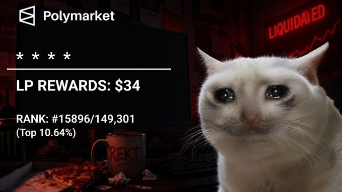 The image features a cat sitting next to a computer monitor, with a banner above that says "I have reached $34 in @Polymarket LP reward today Right now in top 11%". The cat appears to be looking at the camera while the monitor displays a message about the rewards for reaching a certain milestone.