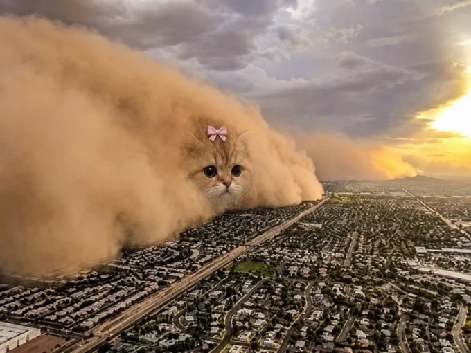 A surreal image of a giant orange tabby cat with a pink bow emerging from a massive dust storm over a suburban landscape at sunset.