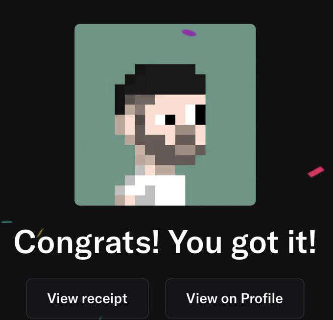 A digital purchase confirmation screen with confetti graphics showing a pixel art profile of a bearded man wearing a black beanie and white shirt on a green background, with the text 'Congrats! You got it!' and buttons for 'View receipt' and 'View on Profile'.