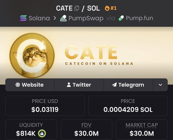 A cryptocurrency page for CATE/SOL token on PumpSwap via Pump.fun on the Solana network, showing a cat mascot, a price of $0.03119, liquidity of $814K, and a market cap of $30.0M.