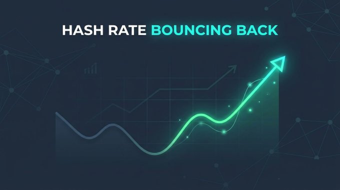 A dark blue graphic with the text 'HASH RATE BOUNCING BACK' above a glowing green upward-trending line chart with an arrow.