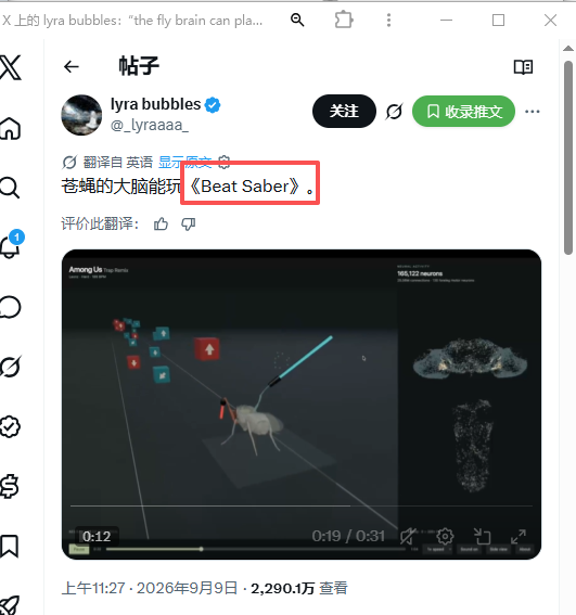 A screenshot of an X (Twitter) post by user @_lyraaa_ (lyra bubbles) with Chinese text translating to 'A fly's brain can play Beat Saber', accompanied by a video showing a fly in what appears to be a VR neuroscience experiment.