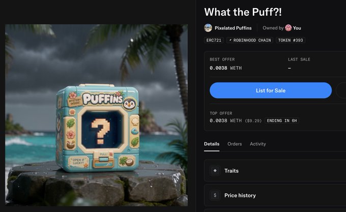 A NFT marketplace listing titled 'What the Puff?!' showing a Pixelated Puffins NFT (#393) on Robinhood Chain, priced at 0.0038 WETH with details about traits and price history.
