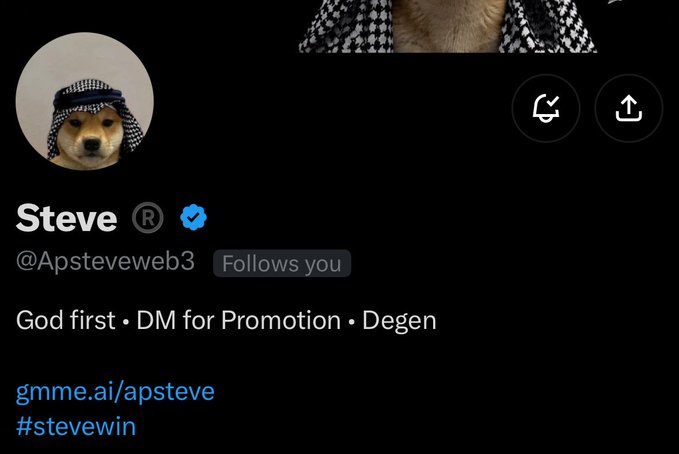 A Twitter profile for "Steve" (@Apsteveweb3) featuring a Shiba Inu dog wearing a keffiyeh as the profile picture, with the bio "God first • DM for Promotion • Degen" and links to gmme.ai/apsteve and #stevewin. The post promotes a $15 SOL giveaway requiring followers to follow the account and retweet with their wallet addresses.