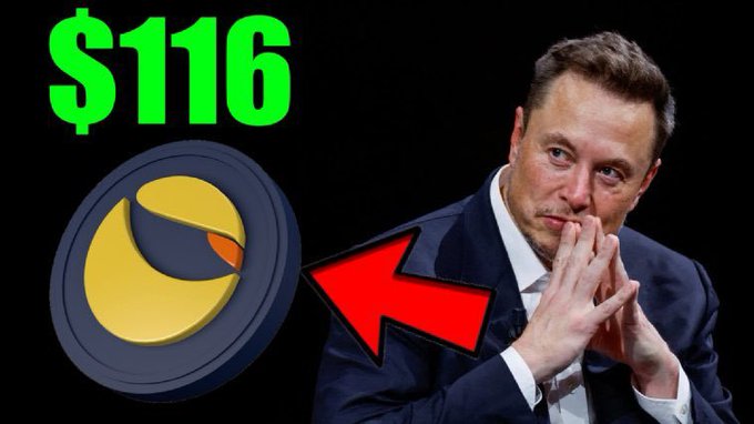 The image shows Elon Musk with clasped hands alongside "$116" in green text and a Terra Luna Classic (LUNC) logo with a red arrow pointing toward it. This visually represents the post's claim about Elon Musk allegedly driving $LUNC (Terra Luna Classic) to all-time highs of $116.