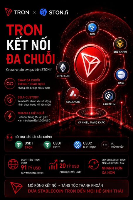A Vietnamese promotional infographic for 'TRON x STON.fi' advertising 'TRON KẾT NỐI ĐA CHUỖI' cross-chain swaps, displaying network logos (TON, BNB Chain, Ethereum, Base, Avalanche, Arbitrum) and statistics like '91 TỶ USD' stablecoin volume.