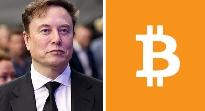 A side-by-side image shows Elon Musk in a dark suit on the left and the orange Bitcoin logo on the right, visually pairing the Tesla CEO's name with the cryptocurrency he publicly endorsed. The composition reinforces the post's message about Musk expressing his support for Bitcoin's success while distancing himself from "pump and dump" schemes.