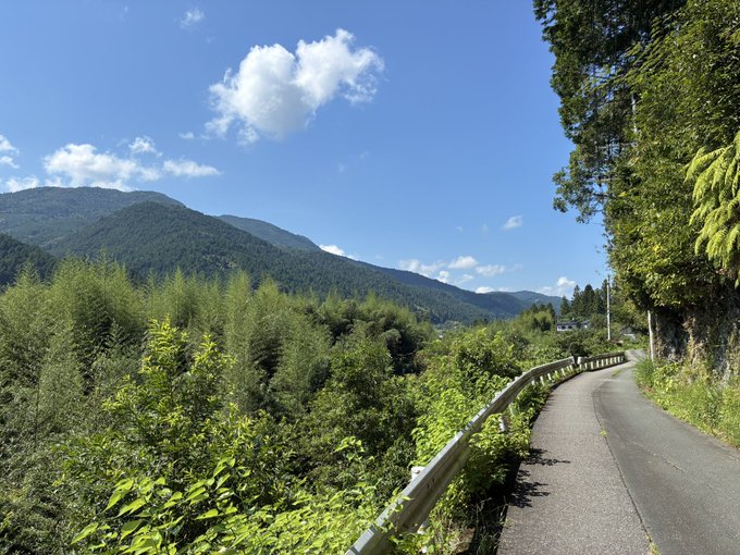 A scenic view of a paved mountain road with a metal guardrail winding through lush green forests and bamboo, with forested mountain peaks rising under a bright blue sky with scattered white clouds.