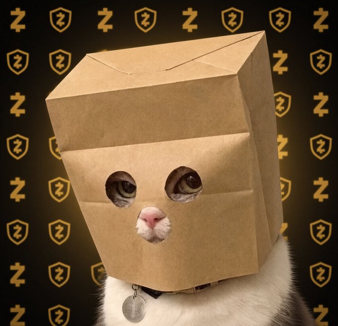 A white cat peers out from a brown paper bag with cut-out eye holes, set against a gold-patterned background featuring the "$Z" logo and shield emblem, perfectly embodying the playful "bag" meme aesthetic celebrated in $ZCAT crypto posts.