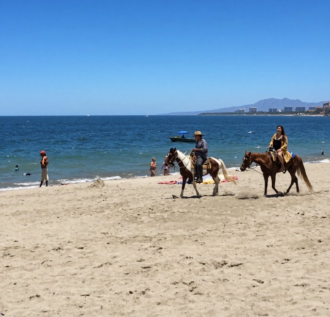 A sunny beach scene with two people riding horses along the shoreline, blue ocean, and mountains visible in the background.