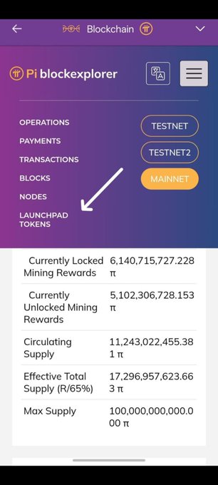 A screenshot of the Pi blockexplorer app showing network options like TESTNET and MAINNET, with Pi cryptocurrency supply statistics listed below.