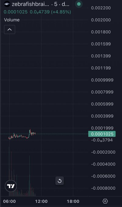 The chart tracks $ZEBRAFISHBRAIN (token address 0xA5B5866107792Eb93c512c9E5783C08f9352A67f), showing minimal price movement around 0.0001025 (+4.85%) with extremely low values that require zooming out to assess any meaningful trend direction.