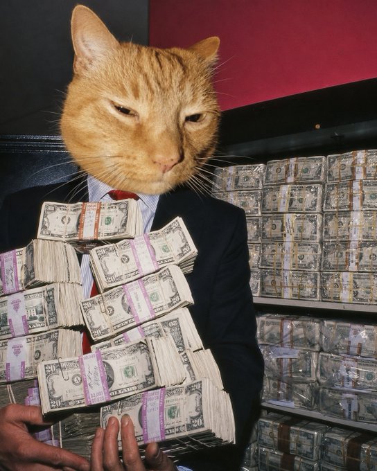 A surreal image of a cat's head on a suited body holding massive stacks of US dollar bills, with bundles of cash filling the background.