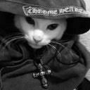 A grainy, low-resolution black and white photo of a kitten wearing a dark hat and jacket, looking down at the camera.