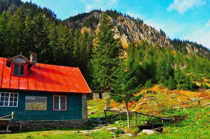 A vibrant mountain landscape featuring a blue wooden cabin with a bright red roof nestled among evergreen trees, with rocky cliffs and a blue sky in the background.
