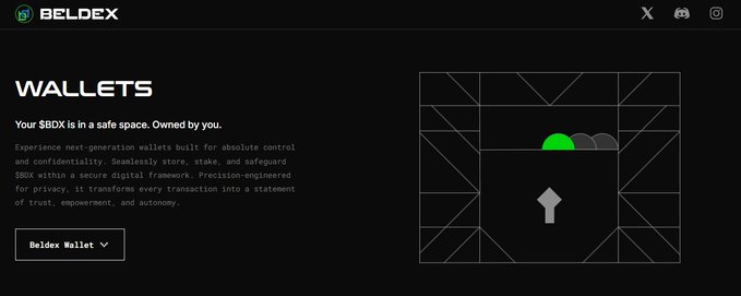 Screenshot of the Beldex Wallets webpage with the headline 'Your SBDX is in a safe space. Owned by you.' alongside a stylized lock graphic.