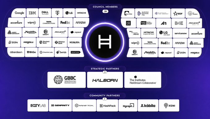 A dark purple infographic displaying the Hedera Council Members (39), Strategic Partners (3) like GBBC and Halborn, and Community Partners (7) including EQTY Lab, Genfinity, and The Hashgraph Online.