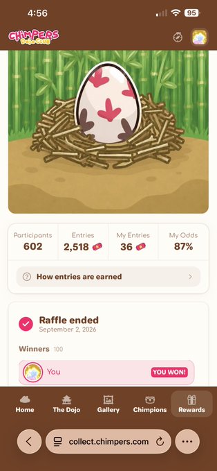 A screenshot from the app "Chimpers" shows a raffle for an egg that ended on September 2, 2020. The user won, with stats showing 602 participoints, 2,518 entries, 36 my entries, and 87% my odds.