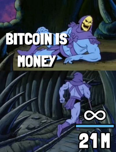 A two-panel Skeletor meme from He-Man: the top reads 'BITCOIN IS MONEY', and the bottom shows Skeletor walking with the Bitcoin infinity symbol and '21M' text, referencing the 21 million supply cap.