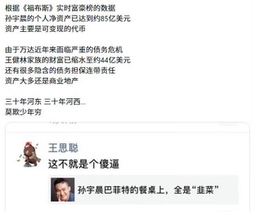 A Chinese social media post titled "孙宇晨的个人净资产已达到了85亿美元 资产主要是可变现的代币" (Justin Sun's personal net worth has reached $8.5 billion, primarily in liquid tokens) shows the Tron founder commenting "这不就不是个傻逼" (Isn't this just a fool?) below a quote about Sun's wealth stemming from "韭菜" (chives/leeks, slang for exploited retail investors).

The accompanying post critiques the promotion of figures like Sun Yuchen—whose wealth comes from speculative tokens and who cannot even return to China—over legitimate entrepreneurs who create jobs and contribute to society, highlighting the image's reference to his token-based $8.5 billion net worth as a symbol of questionable wealth.