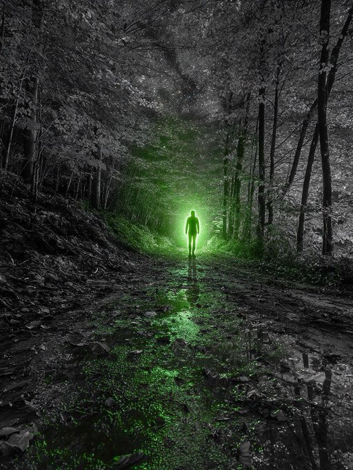 A silhouetted figure stands in a dark forest, surrounded by an eerie green glow emanating from a wet, reflective path beneath their feet. The post "The market's out here glowing green." plays on the green-lit scene as a metaphor for a bullish stock market, with the lone figure standing at the center of a surreal, otherworldly financial landscape.