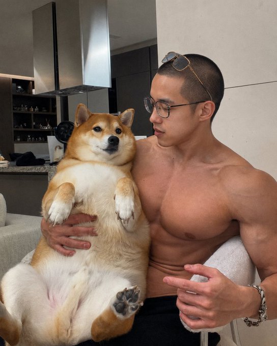 A shirtless muscular man wearing glasses and a silver bracelet holds a large, fluffy Shiba Inu dog lying on its back in his lap inside a modern apartment.
