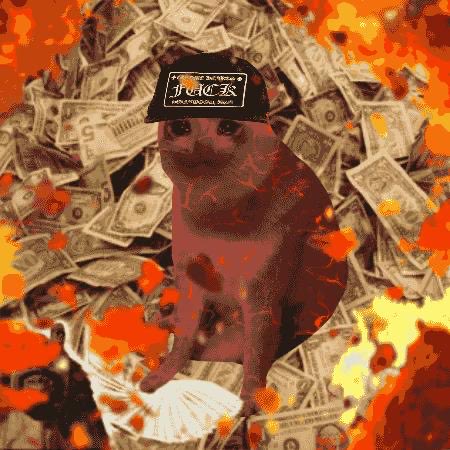A cat wearing a black cap with 'FUCE' text sits surrounded by scattered US dollar bills with orange and red flame-like graphics overlaid across the image.