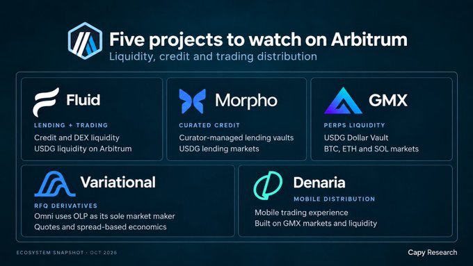 An infographic titled 'Five projects to watch on Arbitrum' by Capy Research (Oct 2026), featuring Fluid, Morpho, GMX, Variational, and Denaria with descriptions of their liquidity, credit, and trading roles.