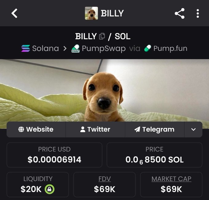 A screenshot of a cryptocurrency trading page for the token $BILLY on the Solana network via PumpSwap/Pump.fun, showing a price of $0.00006914, liquidity of $20K, and an FDV/market cap of $69K, accompanied by an image of a small brown puppy. The image provides the contract address and trading details referenced in the post about aping into the new $BILLY token, which is being pitched as a potential successor to the original $BILLY that previously reached a $200M market cap.