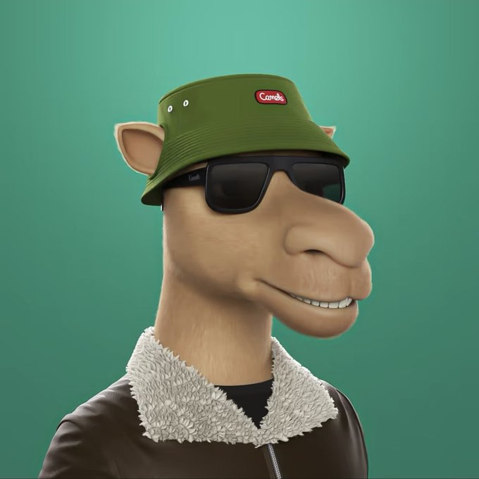 A 3D-rendered cartoon camel character wearing a green bucket hat with a 'Camel' logo, sunglasses, and a brown jacket with a fleece collar.