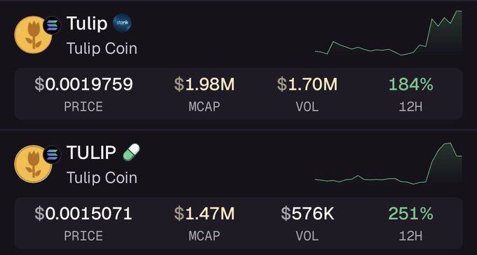 The image shows price and market cap data for two Solana memecoins named "Tulip" (TULIP/Solana) and "Tulip Coin" on Stonks, with Tulip priced at $0.0019759 and a $1.98M market cap, while Tulip Coin is priced at $0.0015071 with a $1.47M market cap, both showing significant 12-hour gains of 184% and 251% respectively.