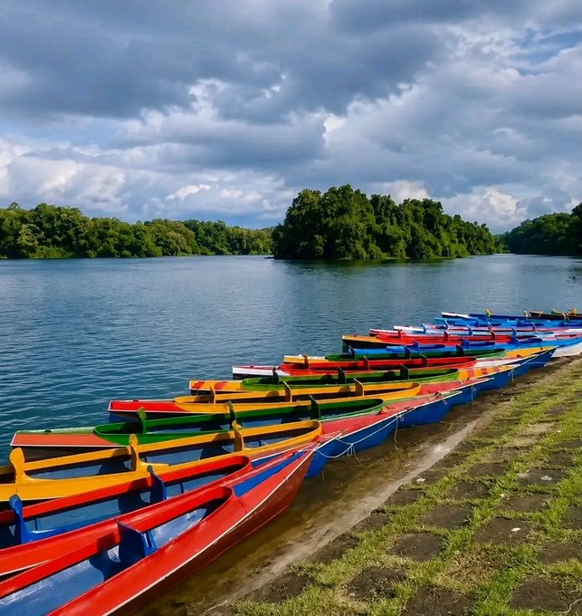 A row of colorful wooden boats—painted in vibrant reds, blues, yellows, and greens—lines a stone shore beside a calm body of water, with a lush green forested island in the distance under a cloudy sky.
